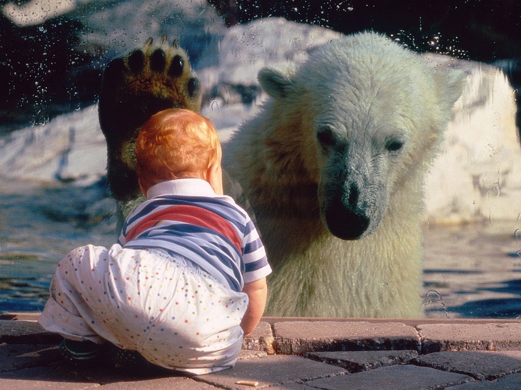 A Close Encounter